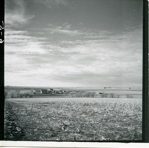 Image description is not available for PHO-4-W689-1304